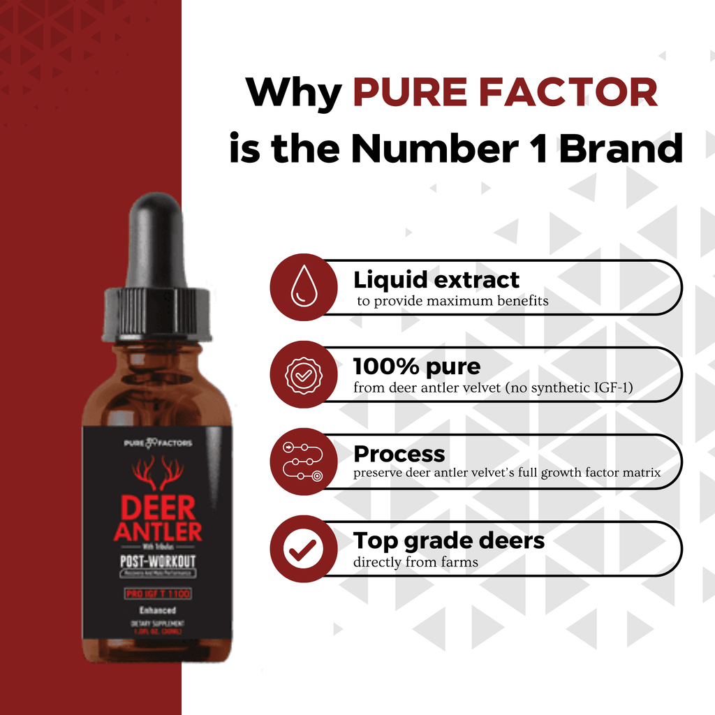 Velvet Deer Antler Extract with Tribulus - IGF T1100 Professional